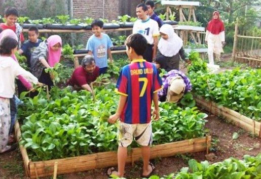 DPR Usulkan Pemerintah Bentuk Badan Khusus Komoditas Musiman